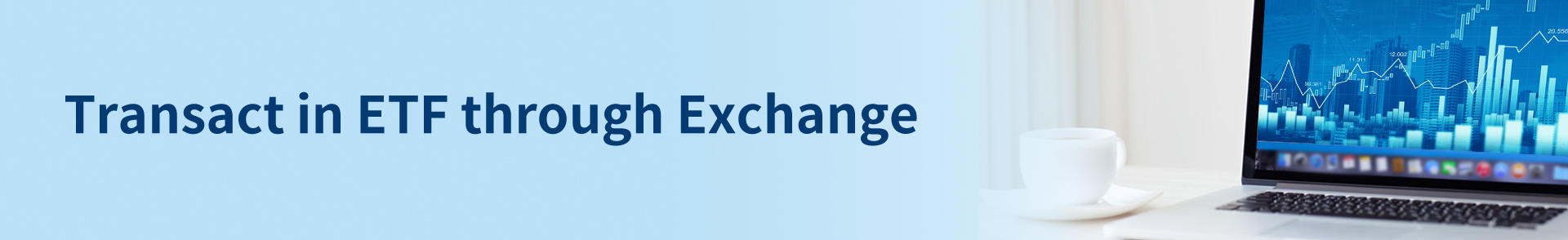 Banner Plain
