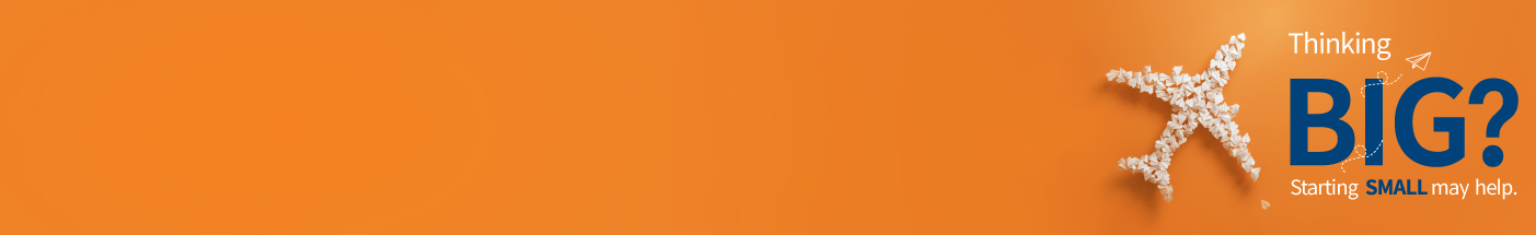 Mirae Asset India Internet ETF